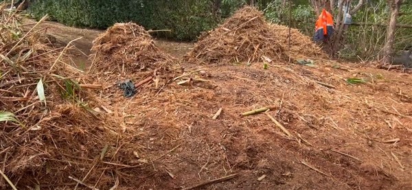 Bamboo Grinding