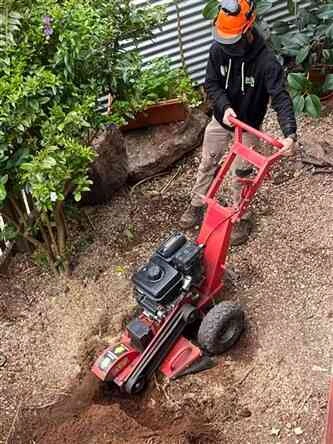 Toro Stump Grinder