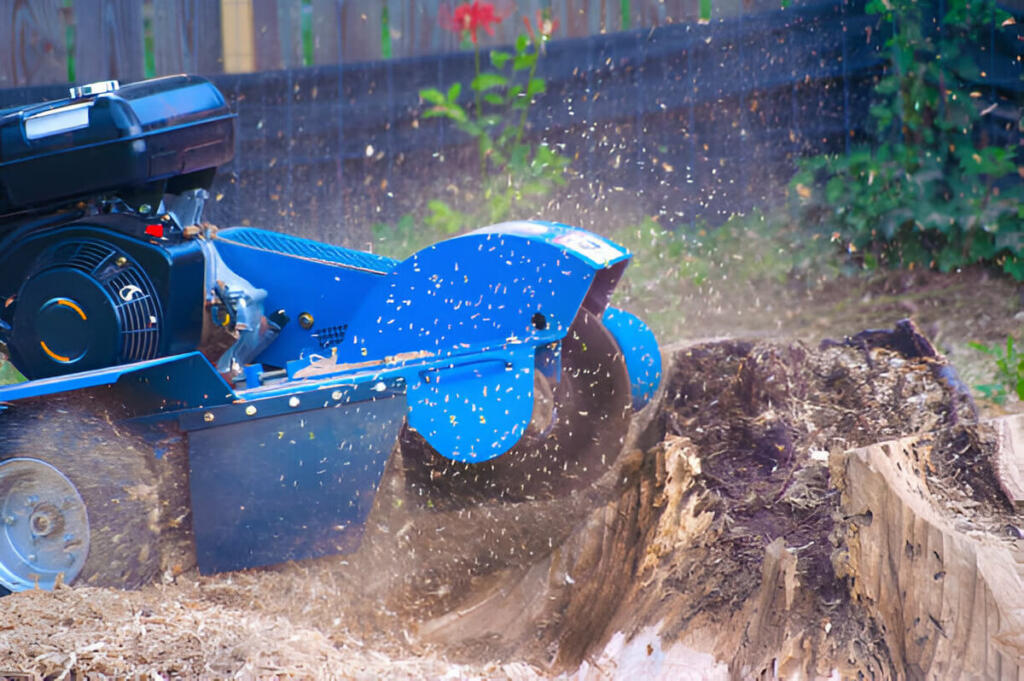 Tree Stump Grinding And Removal: Techniques, Equipment, And Safety Measures Explained