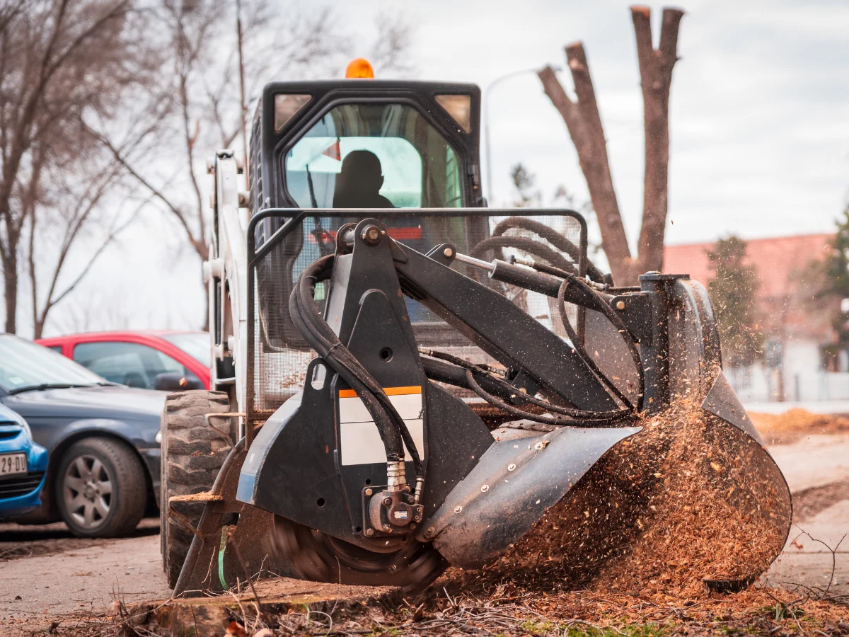 Why DIY Tree Removal Is A Risky Decision: Benefits Of Hiring A Tree Stump Removal Service