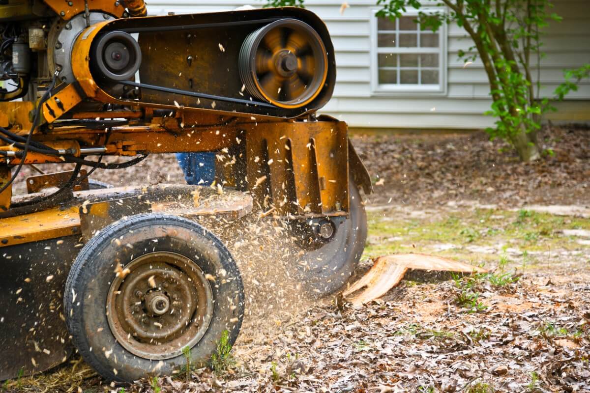 stump-grinding